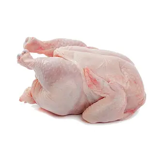 Gallina