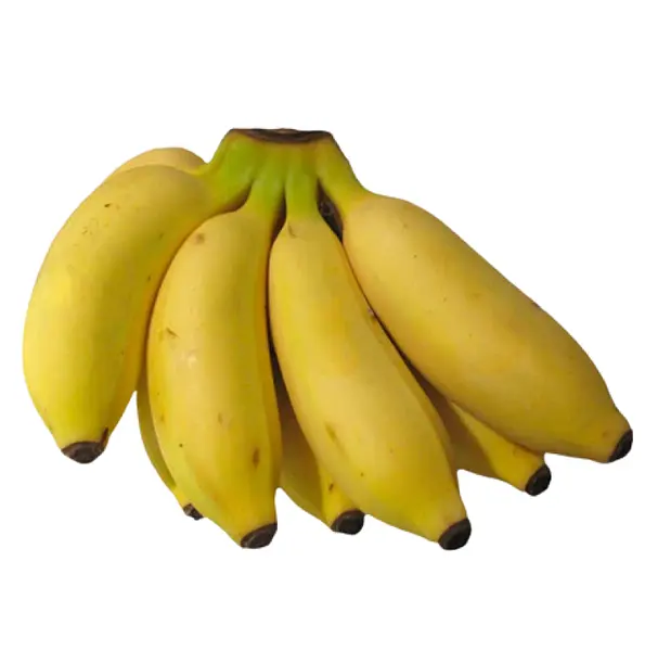 Banano Bocadillo