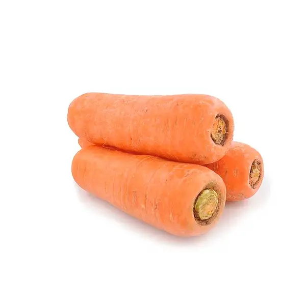 Zanahoria