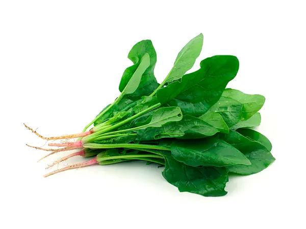 Espinaca