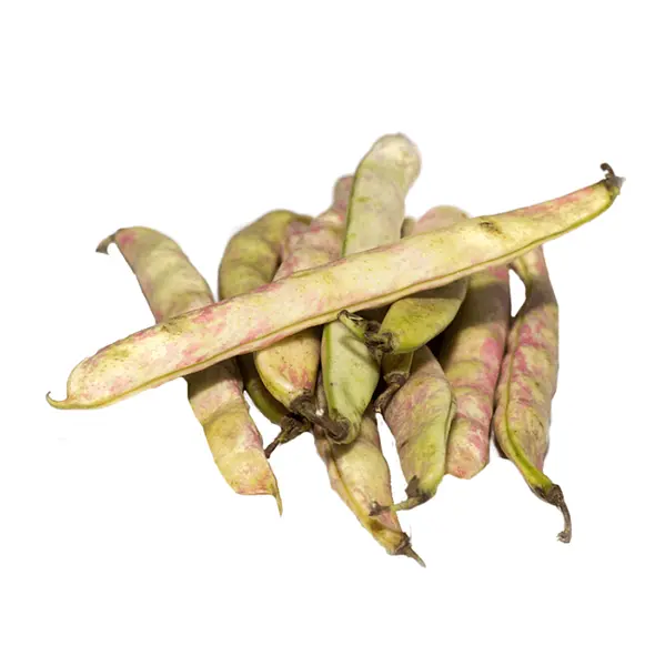 Frijol En Cascara