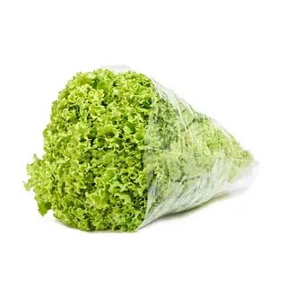 Lechuga Crespa