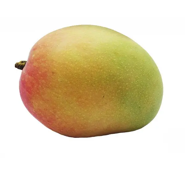 Mango Tommy