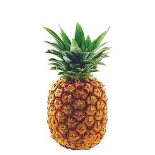 Piña