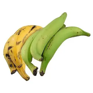 Platano